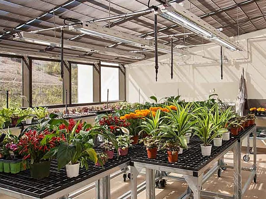 The Year-Round Bounty and Bliss of Owning a Home Greenhouse