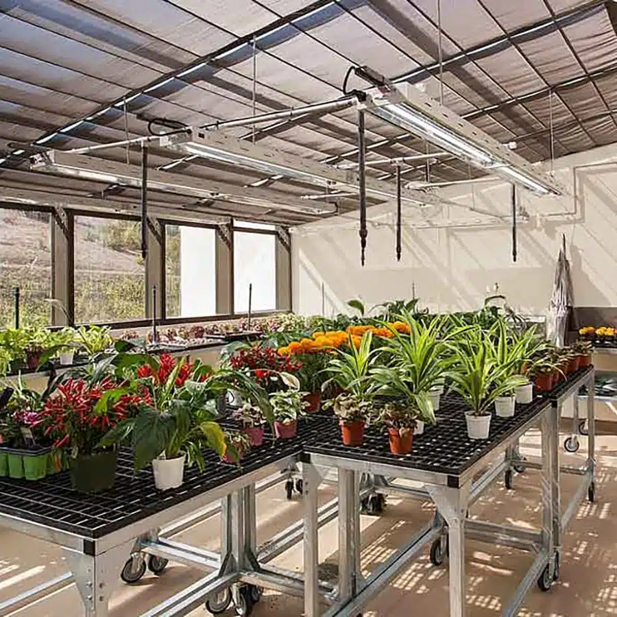 Home Greenhouse