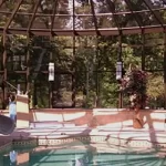 pool-encl-8-67ed5216822f3