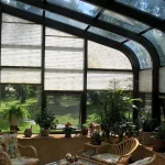 What Are the Best Plants for a Solarium? A Guide to Building a Lush, Year-Round Indoor Oasis