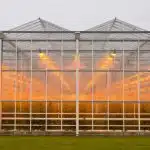 How Much Does a Greenhouse Addition Cost? A Complete Pricing Guide for Homeowners
