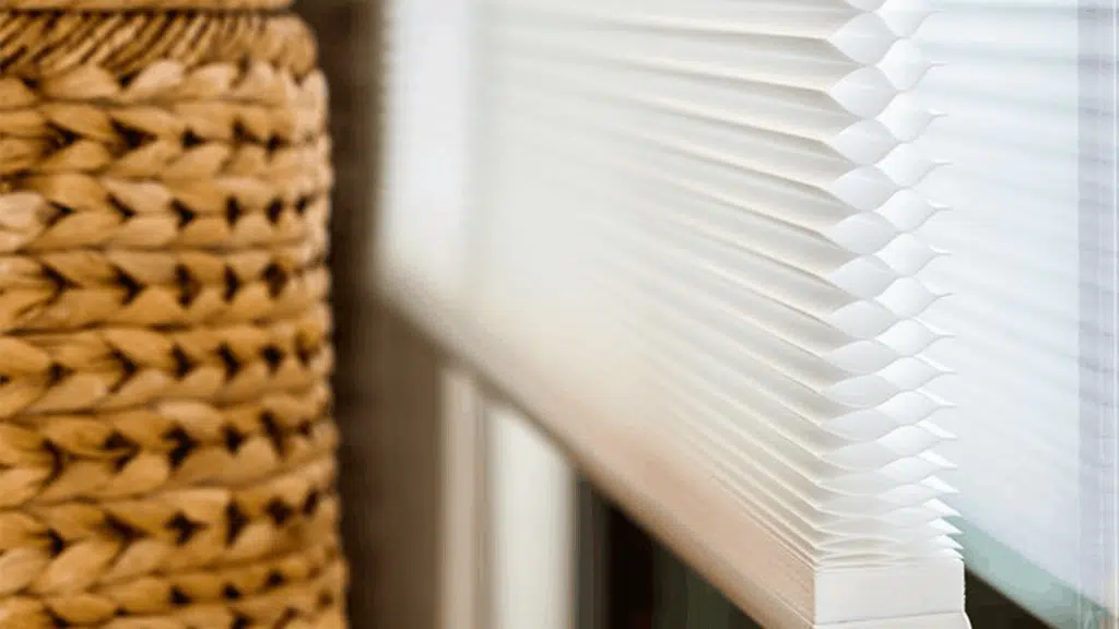 What Are the Best Window Treatments for a Sunroom? A Practical Guide to Light, Heat, and Style